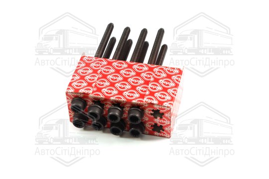 Комплект болтів головки циліндрів VAG 2,4-3,3 TFSI M10x1,5x170 (2) 07.2011- (вир-во Elring)