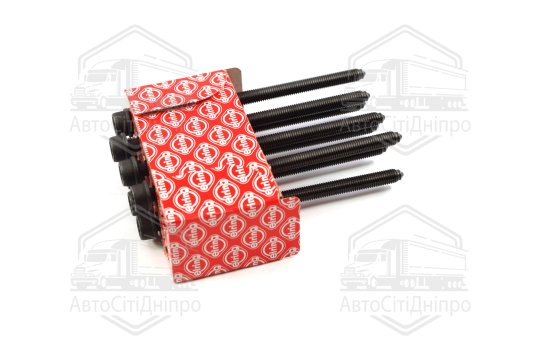 Комплект болтів головки циліндрів VAG 2,4-3,3 TFSI M10x1,5x170 (2) 07.2011- (вир-во Elring)