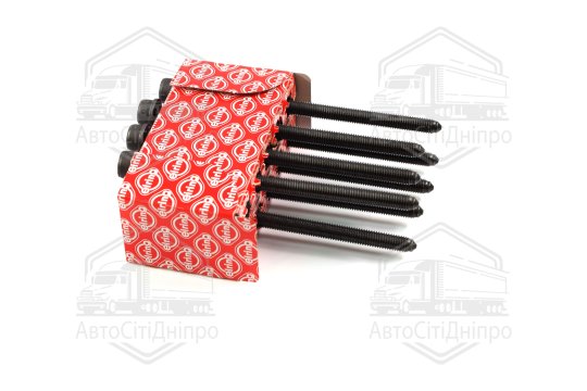 Комплект болтів головки циліндрів VAG 2,4-3,3 TFSI M10x1,5x170 (2) 07.2011- (вир-во Elring)