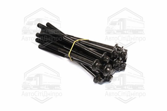 Комплект болтів двигуна BMW B57 D30/N57 D30 08- (вир-во Elring)