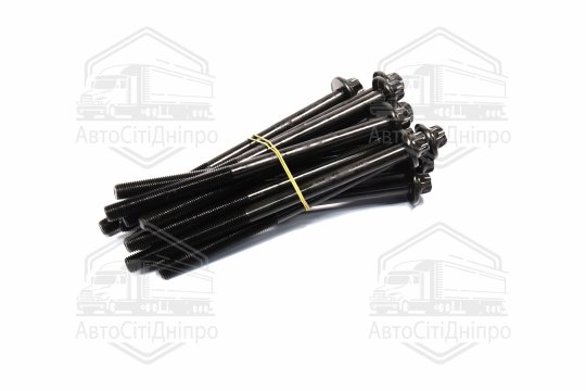 Комплект болтів двигуна BMW B57 D30/N57 D30 08- (вир-во Elring)