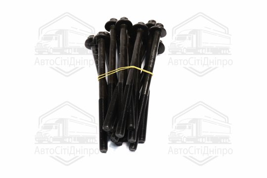 Комплект болтів двигуна BMW B57 D30/N57 D30 08- (вир-во Elring)