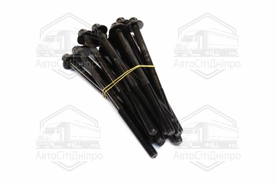 Комплект болтів двигуна BMW B57 D30/N57 D30 08- (вир-во Elring)