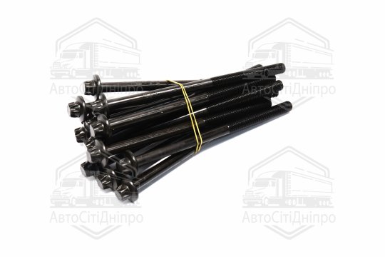 Комплект болтів двигуна BMW B57 D30/N57 D30 08- (вир-во Elring)