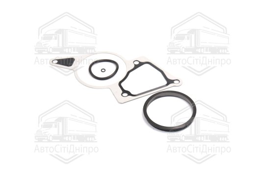 Комплект прокладок, вакуумний насос FORD 2.2 TDCI (вир-во Elring)