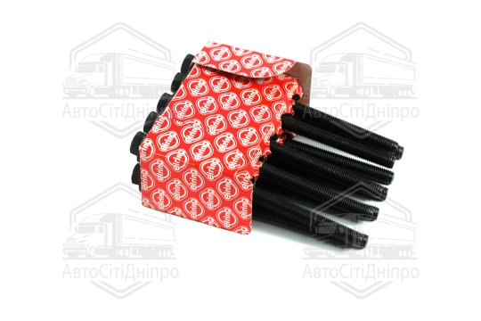 Болт головки блоку (компл.) OPEL Z22NET/Z22SE/Z22YH, ALFA 939A5/939A6, FIAT 194A1 (вир-во Elring)
