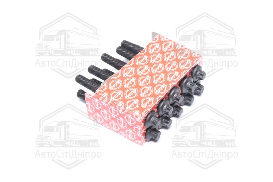 Комплект болтів головки цилідра RENAULT 2,0 16V F4P (вир-во Elring)
