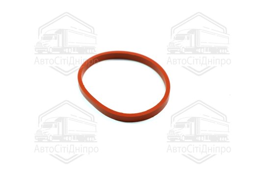 Прокладка, впускний колектор PSA 1,6 16V TU5JP4 (4) (вир-во Elring)