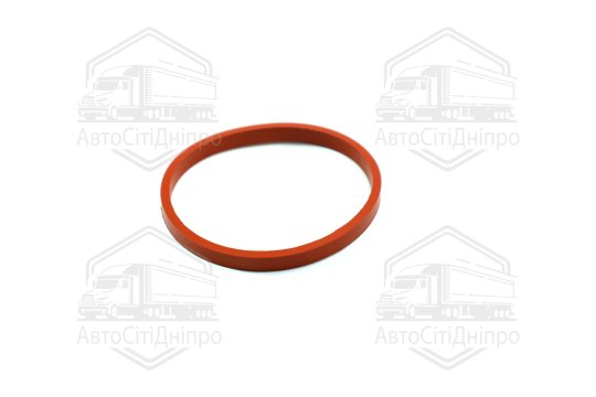 Прокладка, впускний колектор PSA 1,6 16V TU5JP4 (4) (вир-во Elring)