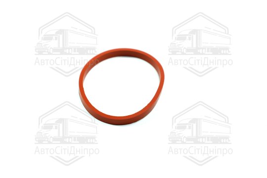 Прокладка, впускний колектор PSA 1,6 16V TU5JP4 (4) (вир-во Elring)