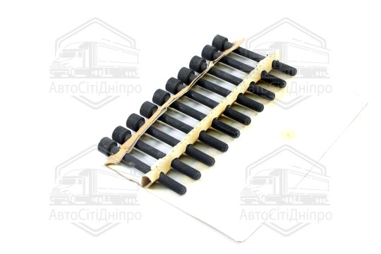 Комплект болтів головки блоку NISSAN 1,5/1,6/1,8 16V (вир-во Elring)