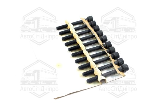 Комплект болтів головки блоку NISSAN 1,5/1,6/1,8 16V (вир-во Elring)