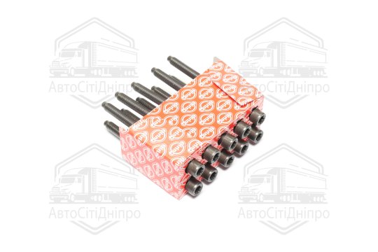Болт головки блоку (компл.) VAG 2.0 FSI AWA/AXW/BHD/BLR/BLX/BLY/BMB/BVY/BVZ/BVX (вир-во Elring)