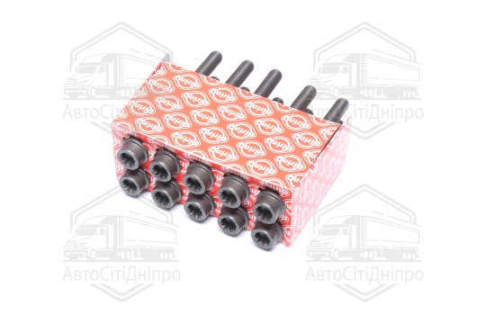 Комплект болтів головки цилідра VAG 1.8/2.0TSI CDAA/AXX/BPY/BWA (вир-во Elring)