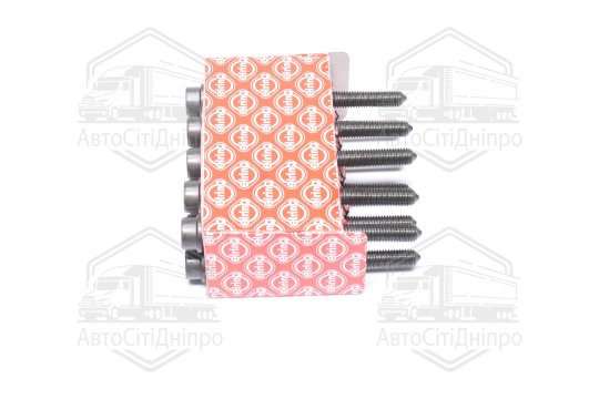 Комплект болтів головки цилідра VAG 1.8/2.0TSI CDAA/AXX/BPY/BWA (вир-во Elring)