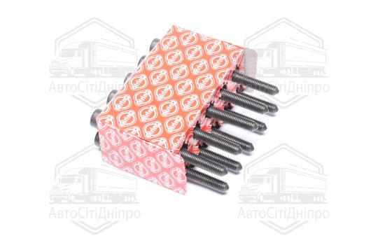 Комплект болтів головки цилідра VAG 1.8/2.0TSI CDAA/AXX/BPY/BWA (вир-во Elring)