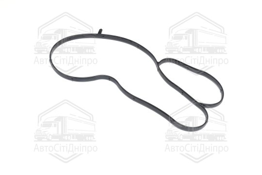 Прокладка, водяний насос VAG 1,2/1,4/1,6 TSI (вир-во Elring)