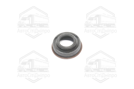 Ущільнення в кришці головки циліндра VAG 3,0 TDI (3) (вир-во Elring)