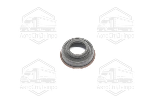 Ущільнення в кришці головки циліндра VAG 3,0 TDI (3) (вир-во Elring)