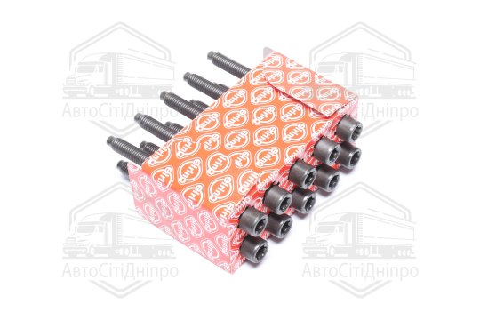Комплект болтів VAG 1.8TSI/2.0 FSI/TFSI AXX/BGB/BPJ/BUL/BWA/BWE/BWT/BZB (вир-во Elring)