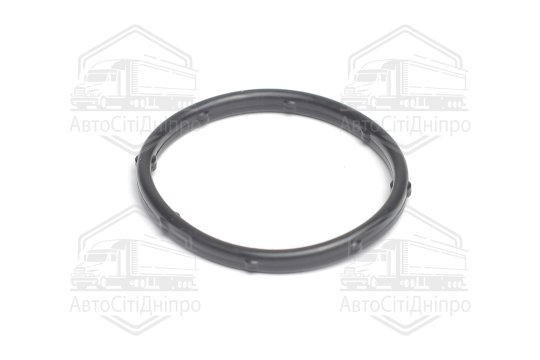 Кільце ущільнююче термостата Hyundai/Kia 1,4/1,6 16V F4FG/F4FC/G4FA/G4FC/G4FD/G4FG/G4FJ (вир-во Elri