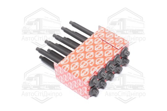 Комплект болтів головки цилідра FORD/PSA 1.4TDCI/1.6TDCI HHDA,DV6ATED4/DV6TED4 (вир-во Elring)