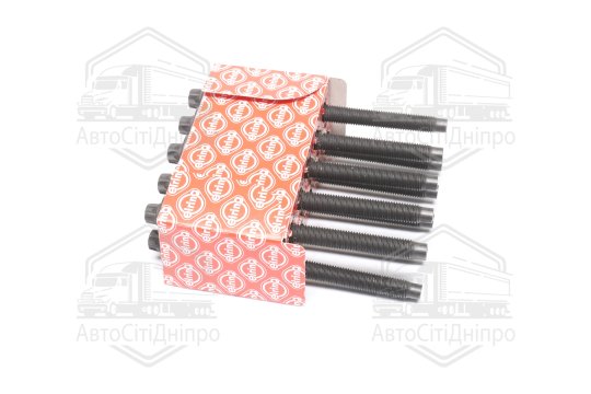 Комплект болтів головки цилідра FORD/PSA 1.4TDCI/1.6TDCI HHDA,DV6ATED4/DV6TED4 (вир-во Elring)