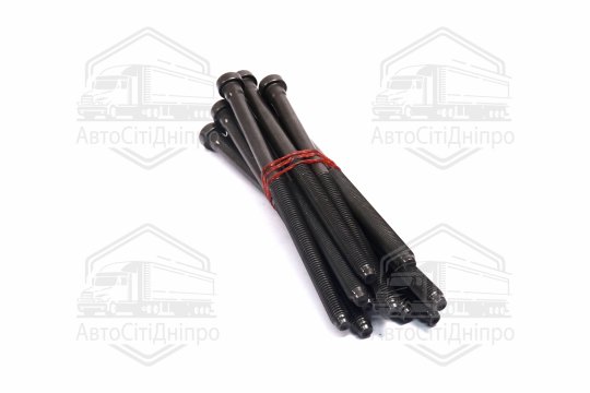 Комплект болтів головки циліндра VAG 2.0TDI CKFB/CKFC/CRLB/CRBC/CRMB/CRUA/CNHC 08- (вир-во Elring)