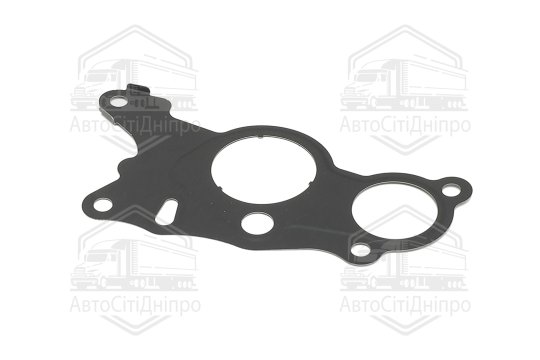 Прокладка вакуумного насоса VW Amarok, Crafter 2.0TDI 10- (вир-во Elring)