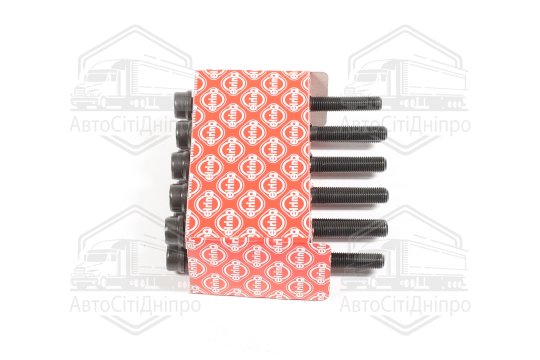 Комплект болтів головки цилідра FIAT/OPEL 1.3JTD (вир-во Elring)