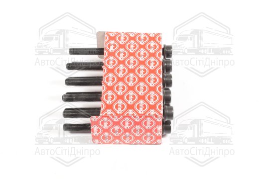 Комплект болтів головки цилідра FIAT/OPEL 1.3JTD (вир-во Elring)
