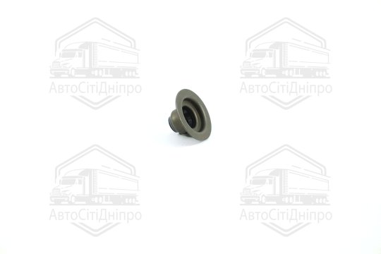 Сальник клапана IN/EX FORD 1.3/1.6/1.8 CVH (вир-во Elring)