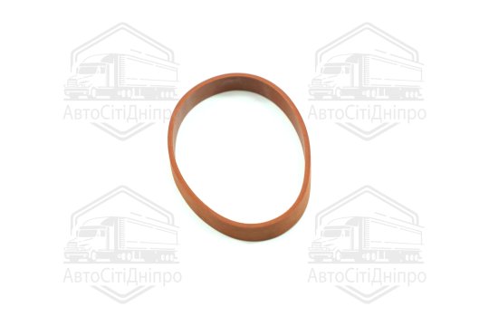 Прокладка клапана EGR BMW M41/M57/M57 (вир-во Elring)
