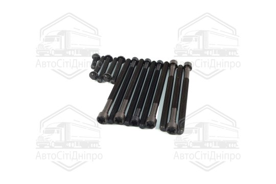 Комплект болтів головки блоку циліндрів 15 шт BMW N20 (вир-во Elring)