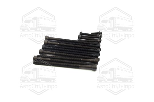 Комплект болтів головки блоку циліндрів 15 шт BMW N20 (вир-во Elring)