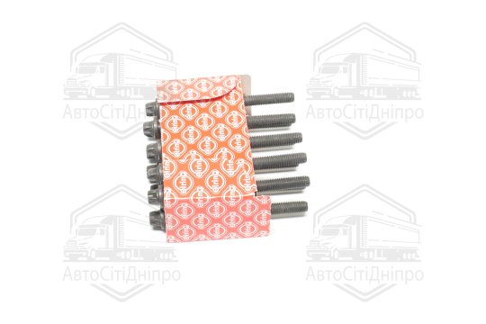 Комплект болтів головки цилідра PSA 1,6 16V TU5JP4/EC5F (вир-во Elring)