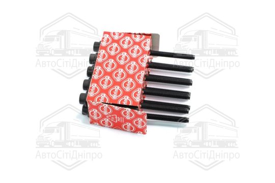 Комплект болтів головки циліндрів VAG 1.6 MPi CWVA/CWVB 14- (вир-во Elring)