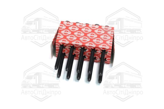 Комплект болтів головки циліндрів VAG 1.6 MPi CWVA/CWVB 14- (вир-во Elring)