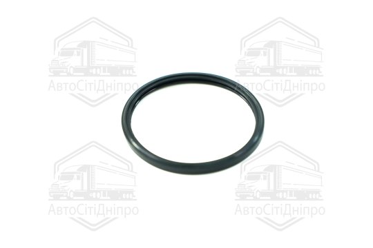 Кільце ущільнююче, термостат OPEL 2,0/2,2 A20NFT/Z22SE (вир-во Elring)