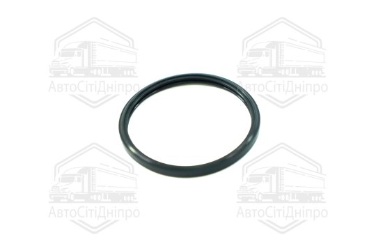 Кільце ущільнююче, термостат OPEL 2,0/2,2 A20NFT/Z22SE (вир-во Elring)