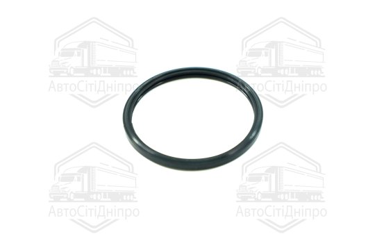 Кільце ущільнююче, термостат OPEL 2,0/2,2 A20NFT/Z22SE (вир-во Elring)