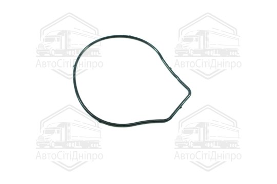 Прокладка водяний насос OPEL 2,0/2,2 A20NFT/Z22SE (вир-во Elring)