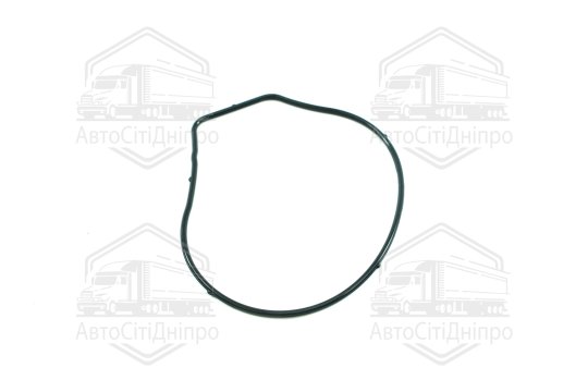 Прокладка водяний насос OPEL 2,0/2,2 A20NFT/Z22SE (вир-во Elring)