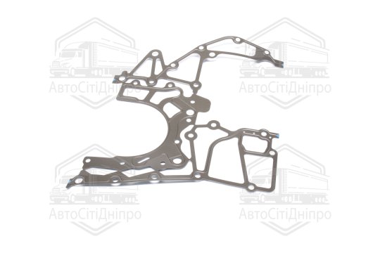 Прокладка передньої кришки BMW 2,0 TDI M47 D20 (204D1) (вир-во Elring)