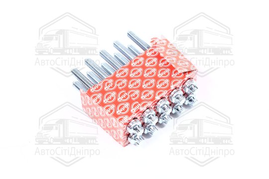 Комплект болтів головки цилідра PSA 1,8/2,0 16V EW7A/EW10A (вир-во Elring)