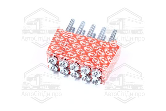 Комплект болтів головки цилідра PSA 1,8/2,0 16V EW7A/EW10A (вир-во Elring)