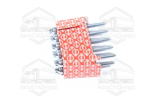 Комплект болтів головки цилідра PSA 1,8/2,0 16V EW7A/EW10A (вир-во Elring)