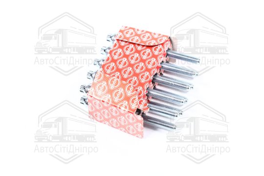 Комплект болтів головки цилідра PSA 1,8/2,0 16V EW7A/EW10A (вир-во Elring)