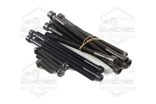 Комплект болтів головки блоку циліндрів 18 шт BMW N55 B30 (вир-во Elring)