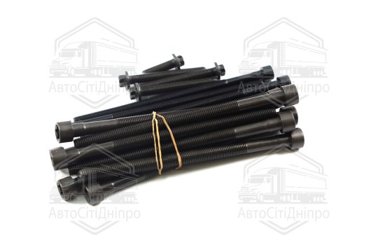 Комплект болтів головки блоку циліндрів 18 шт BMW N55 B30 (вир-во Elring)